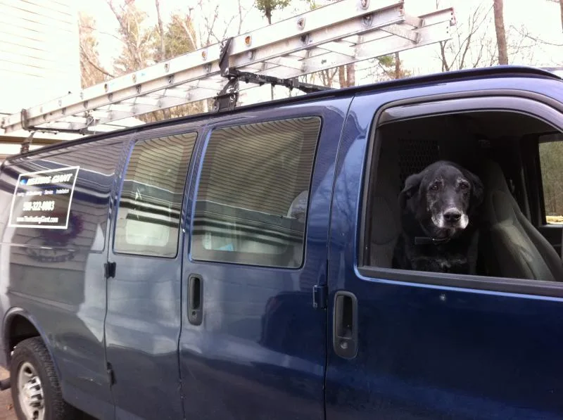 Heating Giant service van with its four-legged co-pilot